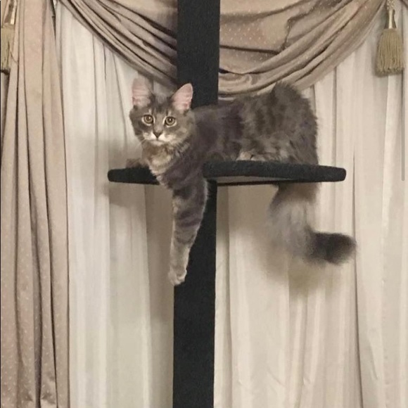 Meet your Posher, Peggy - Picture 7 of 10